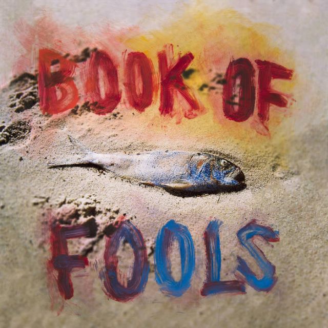 Album cover for Mipso's Book of Fools